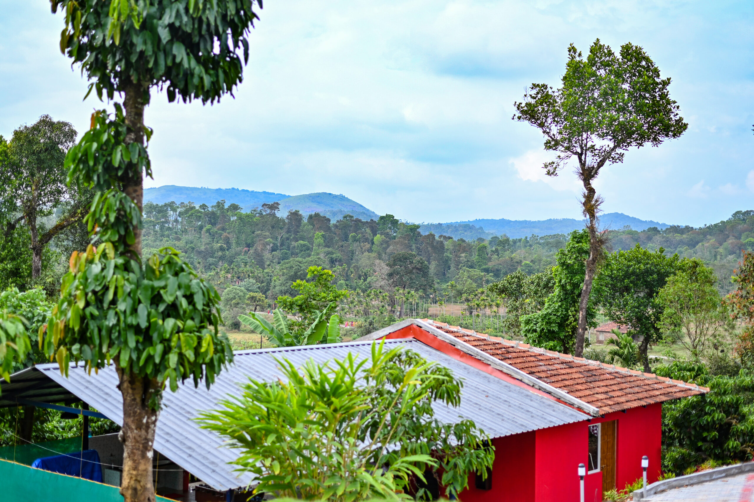 Red Roof View1